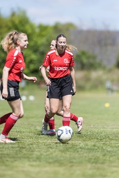 Bild 26 - F SG NieBar - IF Stjernen Flensborg : Ergebnis: 2:0